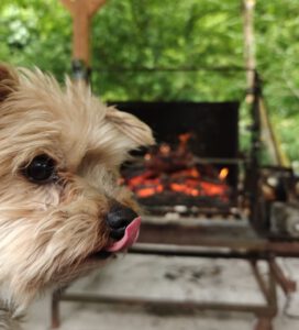 Monti Feinschemecker